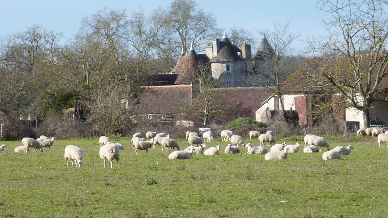 Le Logis Alexandra Bnb La Trimouille ภายนอก รูปภาพ