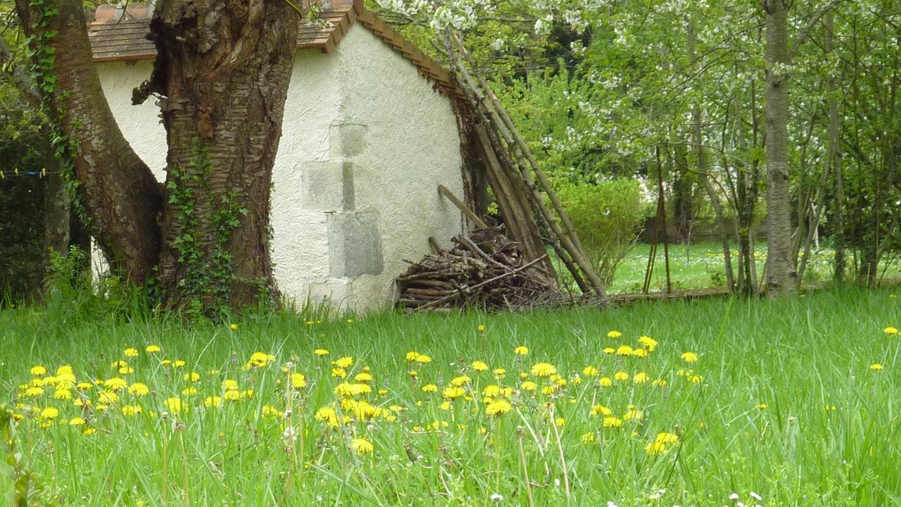 Le Logis Alexandra Bnb La Trimouille ภายนอก รูปภาพ